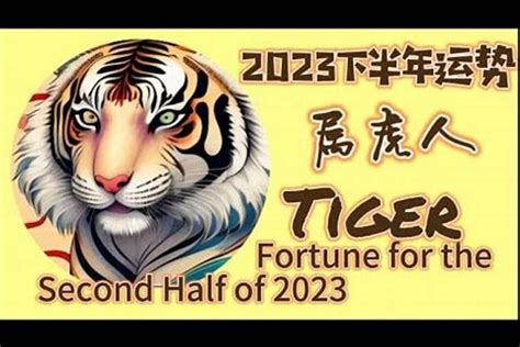 屬虎 2023|属虎的人2023年全年运程运势